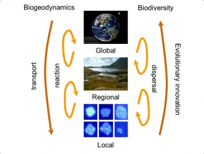 Ecological dynamics