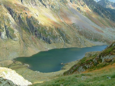 Mountain lake ecology